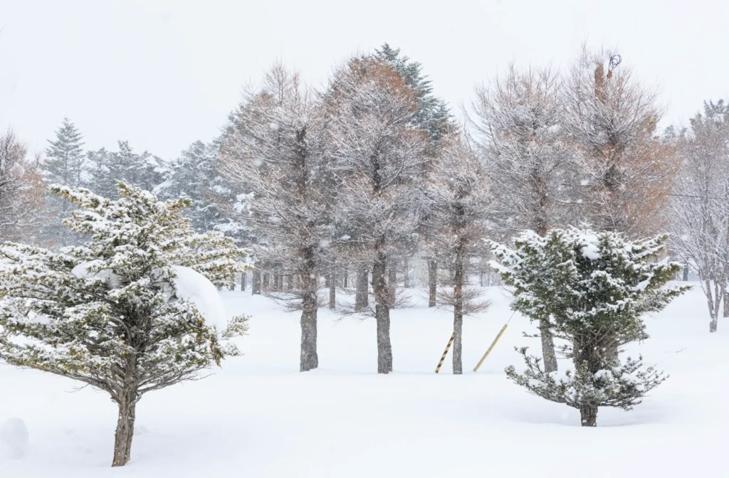 hokkaido scenic nature winter